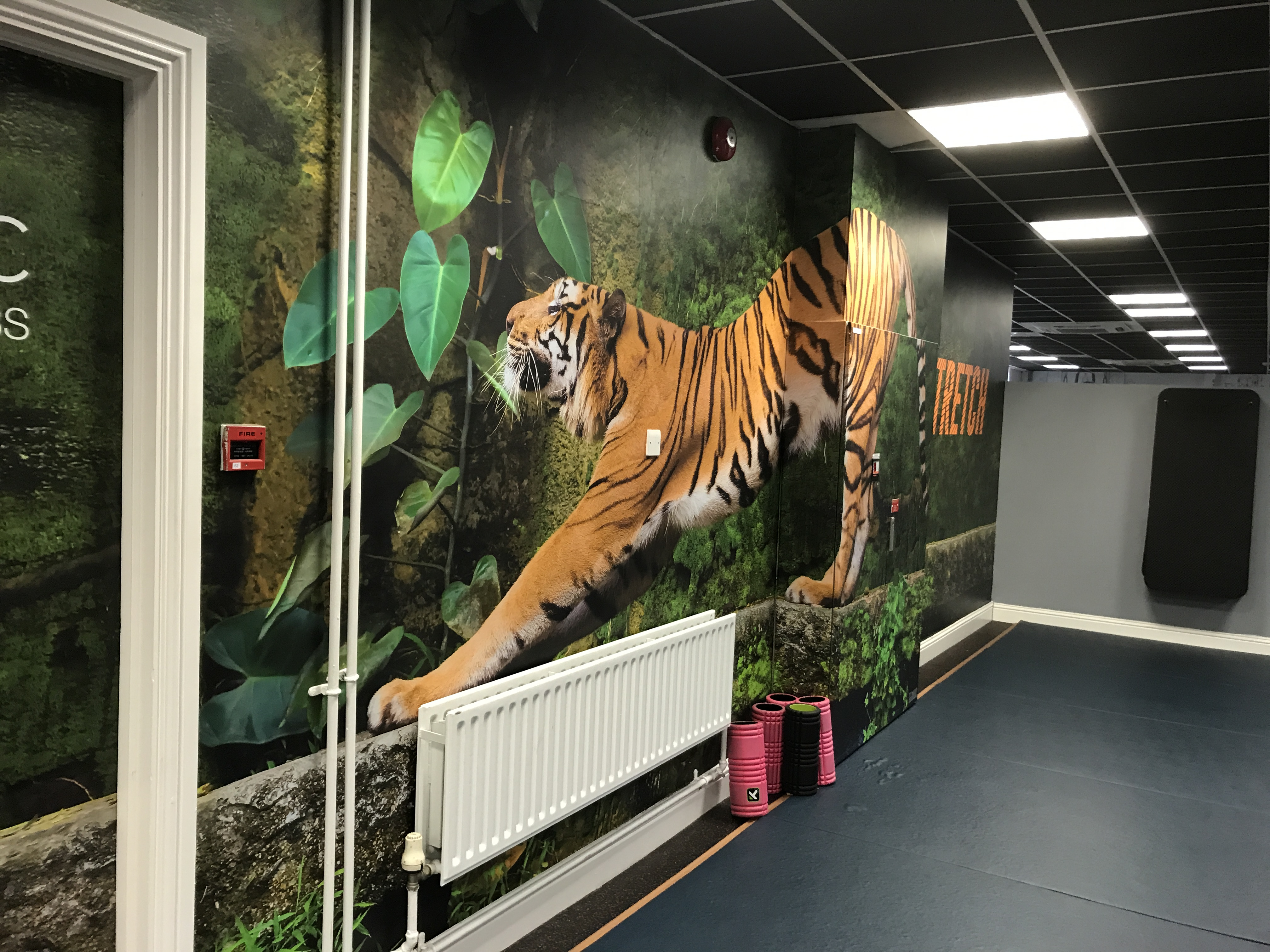 Icon Health Club